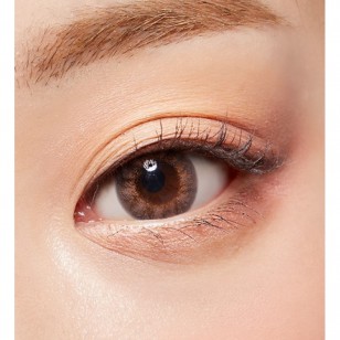 Lighly Fantasy Brown(日拋)